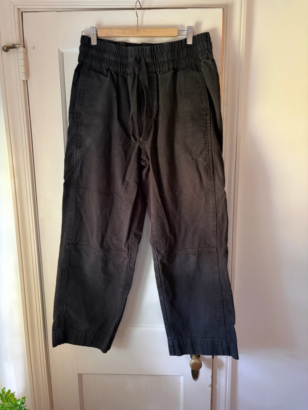 Everlane Canvas Organic Cotton Pull-on Pants
